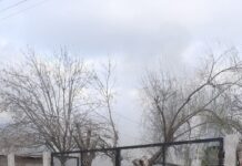 Sirena de Bomberos: Incendio de vivienda