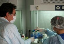 Resuelven el misterio de dos cuerpos encontrados en Brandsen durante la dictadura