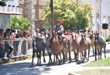 149º Aniversario de Brandsen: Celebrando historia y tradición