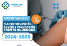 Temporada de prevención contra el dengue