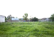 Denuncian toma de terreno en el República