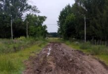 Escriben los vecinos: barrial en calle Eucalipto