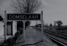 Un remisero de la Ciudad fue asaltado en Domselaar