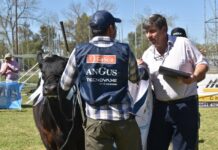 Gustavo Lorenti: “La Expo ya tiene un prestigio en la zona y en la Región”