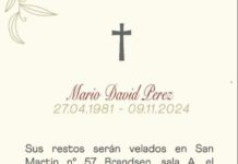 Vecino de Brandsen pierde la vida en trágico accidente en la Ruta 215 al chocar con un caballo