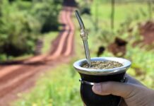 El consumo de yerba mate alcanzó su nivel más bajo en 9 años, según un estudio