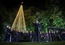 Se prendió el arbolito y Brandsen ya es un “Pueblo de Navidad”