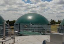 El huevo, un negocio redondo: con una inédita tecnología, una avícola producirá energía eléctrica utilizando el guano de las gallinas