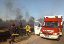 Incendio de pastizales al costado de la ruta 215 a la altura del Km. 54 pasando el autódromo