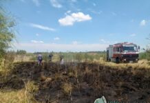 Incendio de pastizales cerca de una fábrica en ruta 210