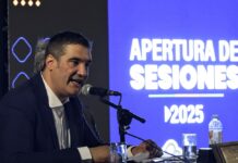 Raitelli: “tengo una responsabilidad y me toca afrontarla. Pero si en el Concejo no hay mayoría, la central termoeléctrica no va a estar”