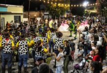 Pasó el Carnaval de Jeppener. Todas las imágenes