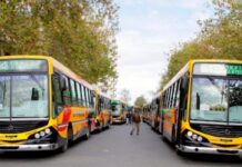 El Gobierno dictó la conciliación obligatoria y mañana no habrá paro de colectivos