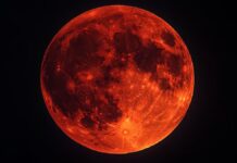 Eclipse lunar total esta noche: desde qué hora se verá en Argentina la “Luna de sangre” y en qué año se repetirá