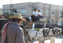 El domingo 3 se celebrará la XVIII Fiesta Provincial del Carruaje