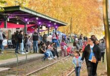 En abril se realizará la 12ª Fiesta de la Miel en San Vicente