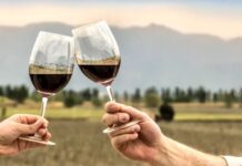 Día del Malbec: por qué se celebra hoy