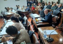 El Concejo le dijo NO a las termoeléctricas y Raitelli reprochó “una mirada mezquina que va contra el progreso de Brandsen»