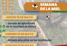 Suspendidas las actividades de la semana de la miel en Brandsen por cuestiones climáticas
