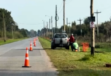 Se colocaron 74 nuevas luminarias en el acceso a Gómez