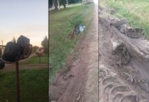Escriben los lectores: “Las calles están intransitables por la cantidad de pozos que hay”