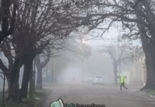 El aire polar avanza sobre toda la Argentina: cómo será esta primera semana invernal