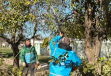 Avanzan los trabajos de mejora en barrios, rutas y espacios públicos de Brandsen