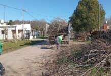 Nueva semana de trabajo en los barrios: obras, servicios y mantenimiento