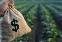 Brandsen, entre los municipios con mayor presión fiscal