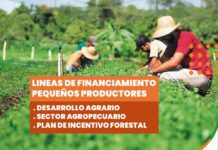 Acompañamiento a pequeños productores