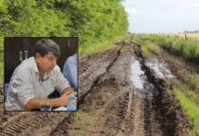 Gustavo Lorenti: “La situación de los caminos rurales en Brandsen es terminal”