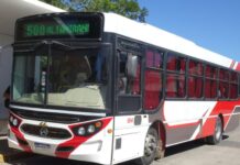 Fuerte incremento del 11% en los colectivos