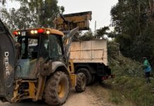 Información importante: la próxima semana habrá un operativo de recolección de ramas en los barrios