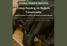 Se realizará una charla ganadera en La Rural