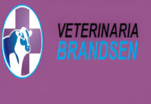 Con una trayectoria de 51 años, Veterinaria Labarere busca seguir creciendo