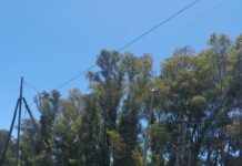 Escriben los lectores: «Podría suceder otra tragedia»