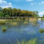 Este sábado habrá un encuentro por los 75 años de Las Acacias