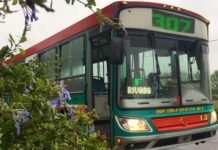 Oliden: la Línea 307 incorporó dos nuevos servicios