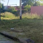Escriben los lectores: cortaron el pastizal de Sáenz Peña y 116