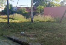 Escriben los lectores: cortaron el pastizal de Sáenz Peña y 116