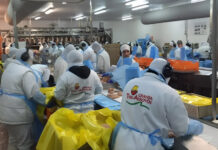 Trabajadores de Granja Tres Arroyos toman nuevas medidas de protesta