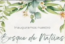 Plantemos Futuro: «Nos llena de emoción inaugurar este bosque incipiente»