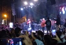 Mario Luis cerró la 2ª Fiesta Regional de la Cerveza en Brandsen