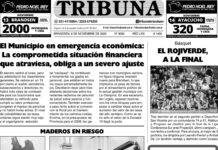 Semanario Tribuna – 8 de noviembre de 2025