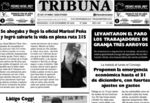 Semanario Tribuna – 15 de noviembre de 2025