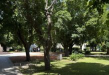 Puesta en valor de Plaza Brandsen