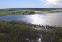 Este sábado se realizará una caminata en el arroyo San Luis
