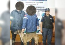 Ingresaron a cazar con galgos en un campo y fueron detenidos