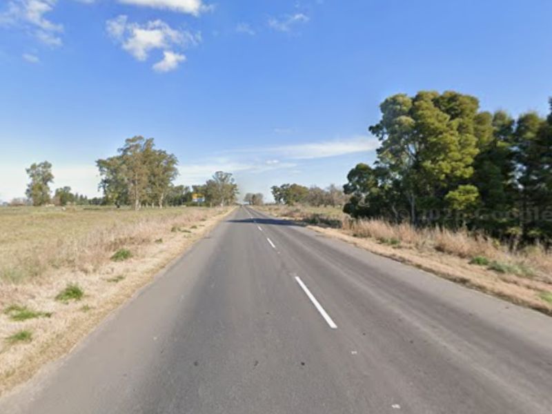 ruta 29