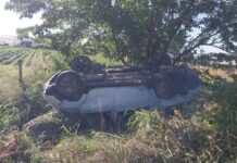 Tragedia en La 215: su mujer le dio un mate mientras manejaba, perdió el control de la camioneta y murió